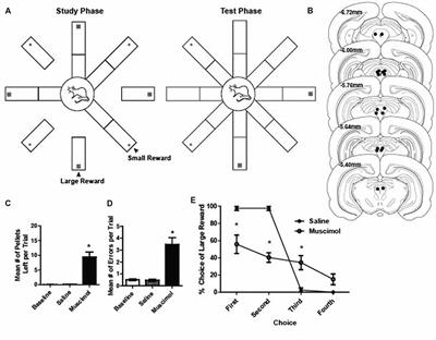 A Novel Role for the Periaqueductal Gray in Consummatory Behavior